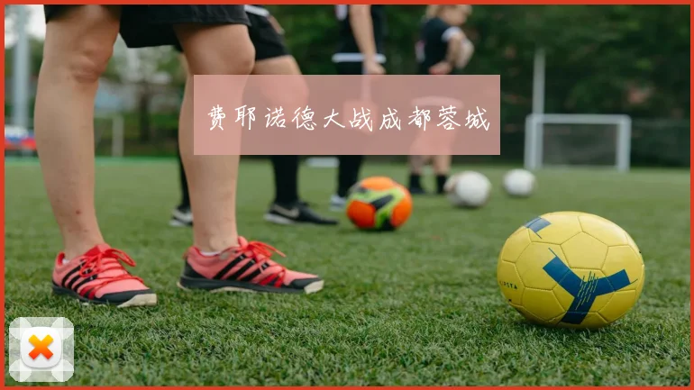 费耶诺德大战成都蓉城