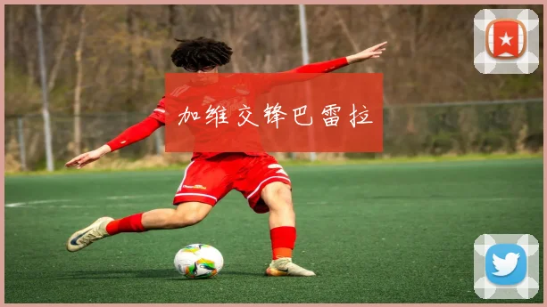 加维交锋巴雷拉