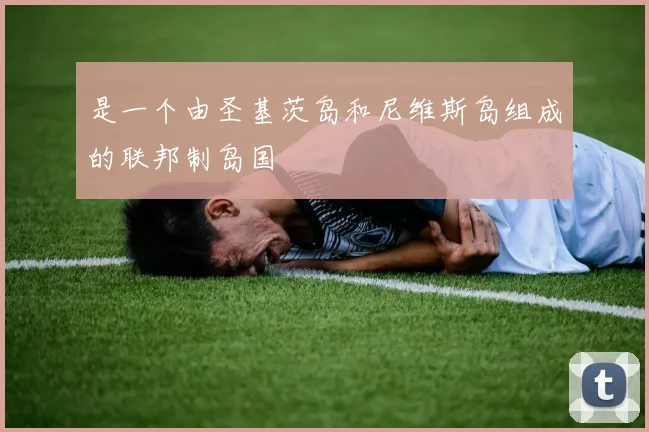 是一个由圣基茨岛和尼维斯岛组成的联邦制岛国