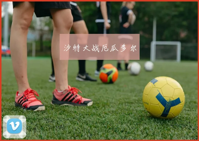 沙特大战厄瓜多尔
