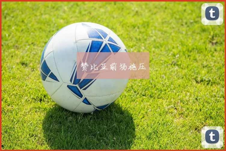 赞比亚前场施压