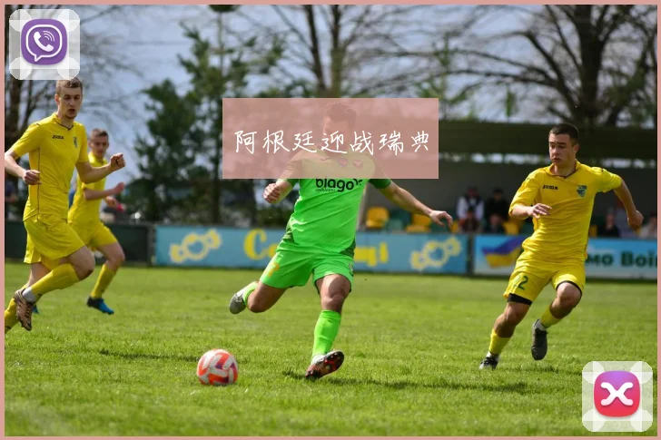 阿根廷迎战瑞典