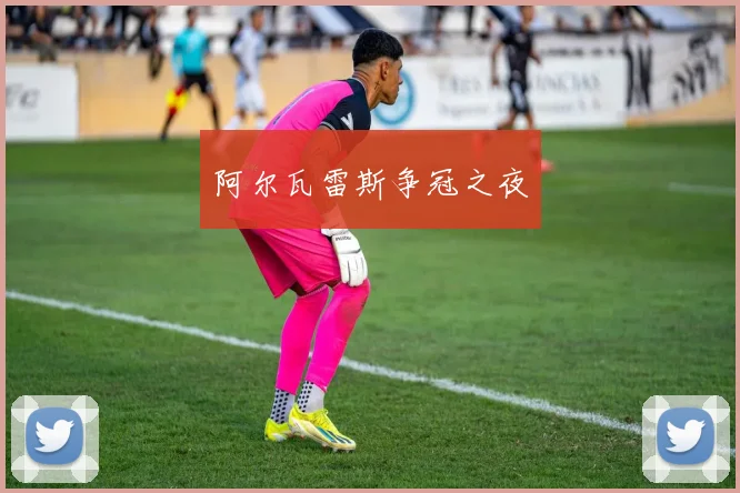 阿尔瓦雷斯争冠之夜