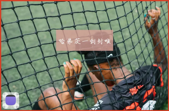哈弗茨一剑封喉