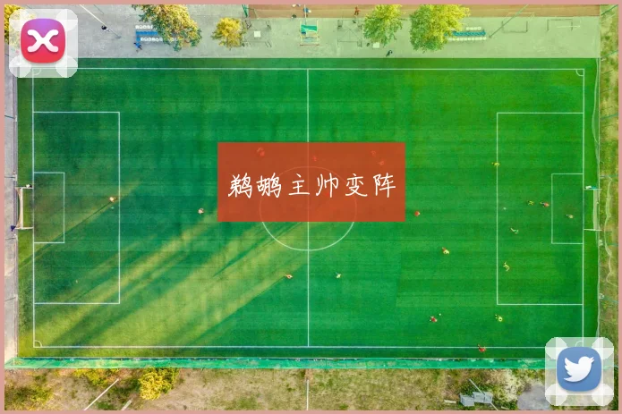 鹈鹕主帅变阵