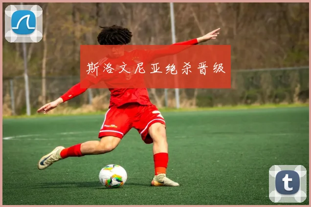 斯洛文尼亚绝杀晋级