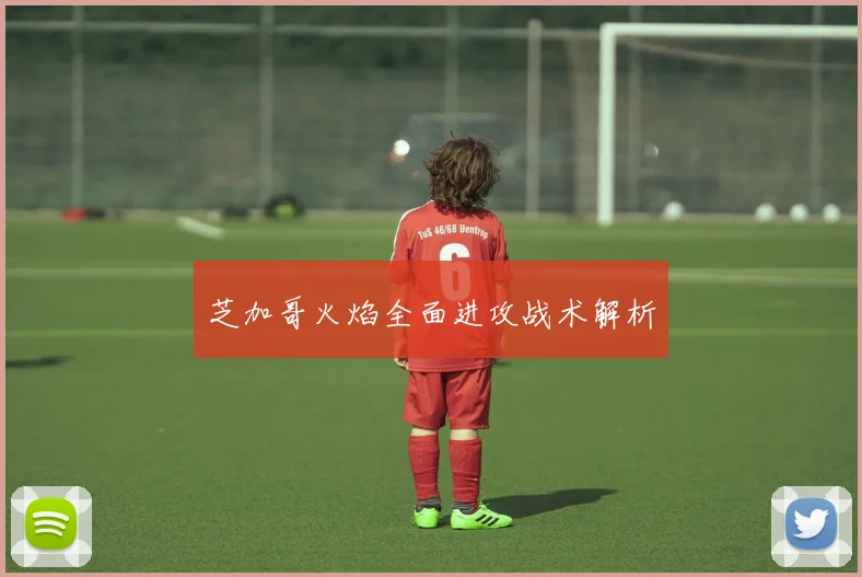 芝加哥火焰全面进攻战术解析