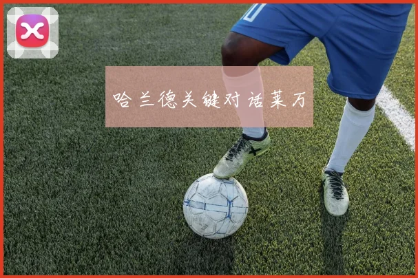 哈兰德关键对话莱万