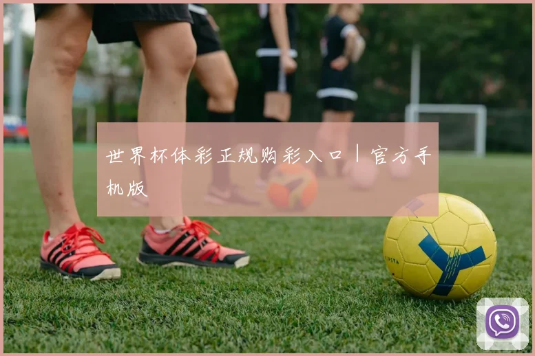 世界杯体彩正规购彩入口｜官方手机版