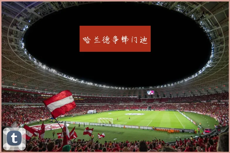 哈兰德争锋门迪