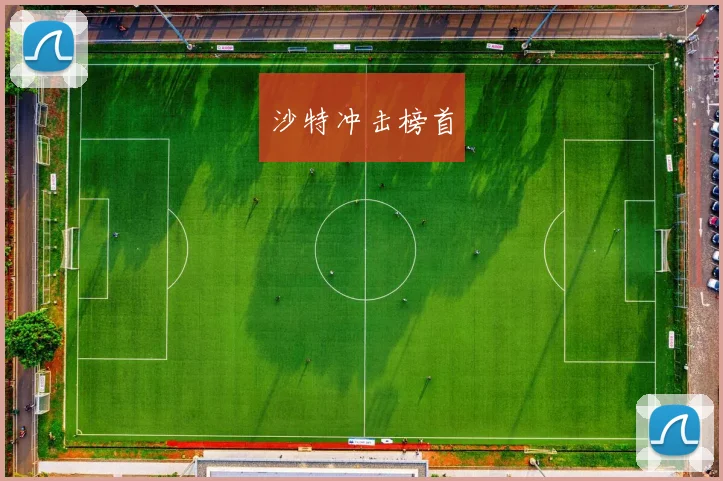 沙特冲击榜首