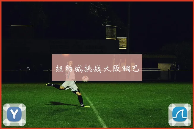 纽约城挑战大阪钢巴