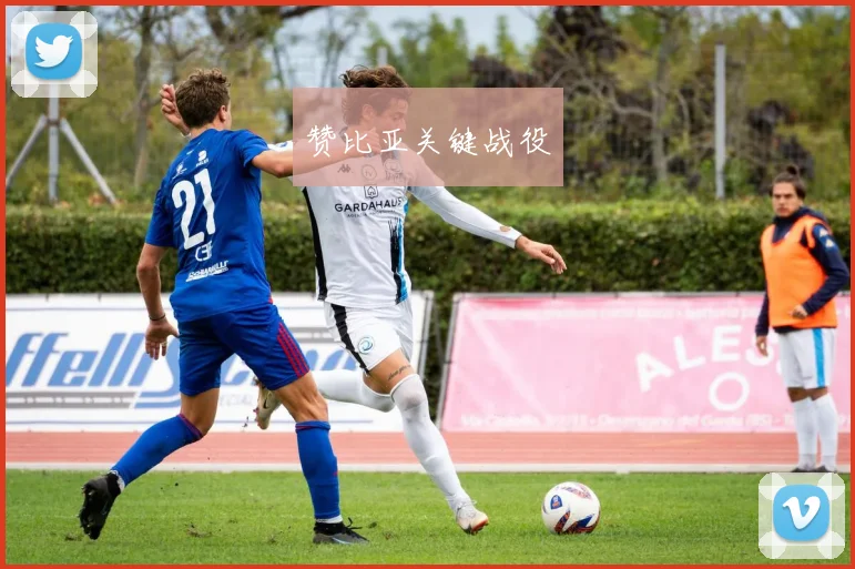 赞比亚关键战役