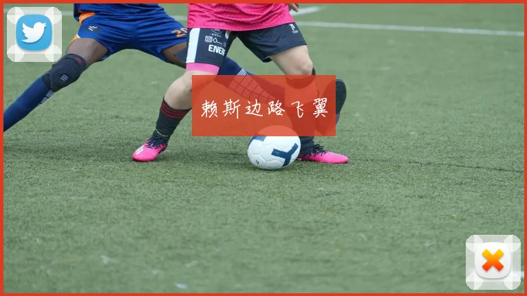 赖斯边路飞翼