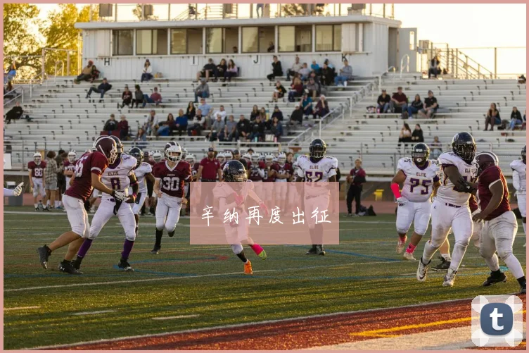 辛纳再度出征