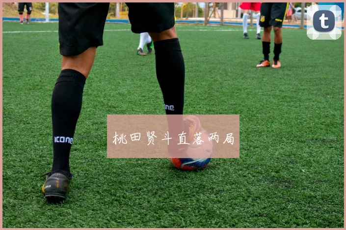 桃田贤斗直落两局