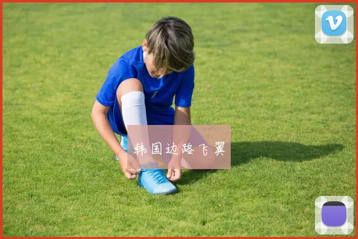 韩国边路飞翼
