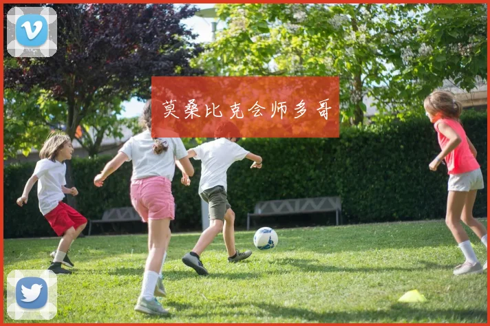 莫桑比克会师多哥