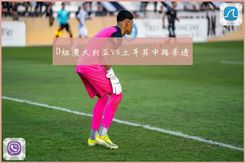 D组澳大利亚vs土耳其中路渗透