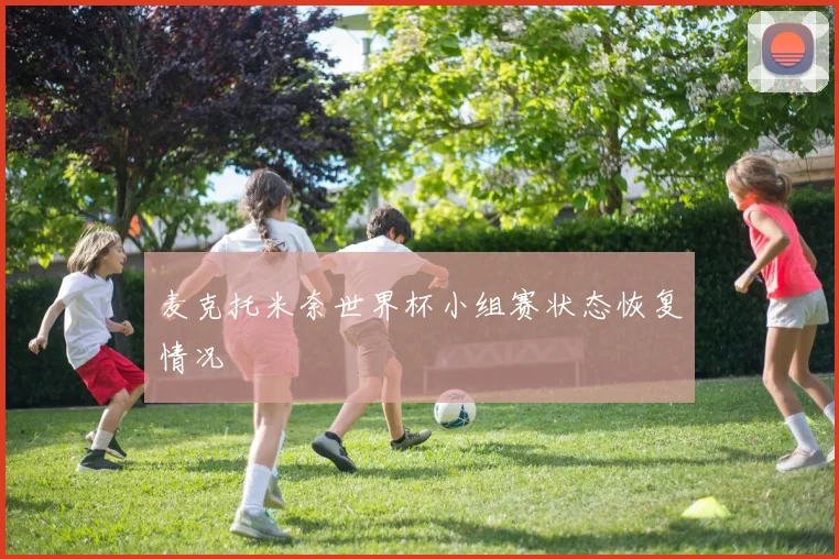 麦克托米奈世界杯小组赛状态恢复情况