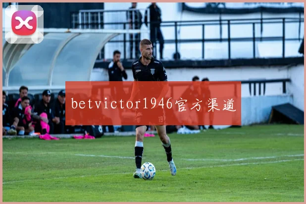 betvictor1946官方渠道