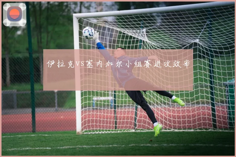 伊拉克vs塞内加尔小组赛进攻效率