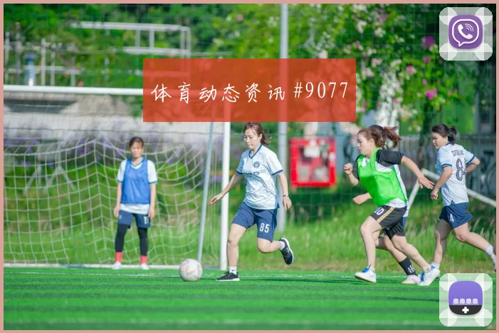 D组澳大利亚vs土耳其中路渗透