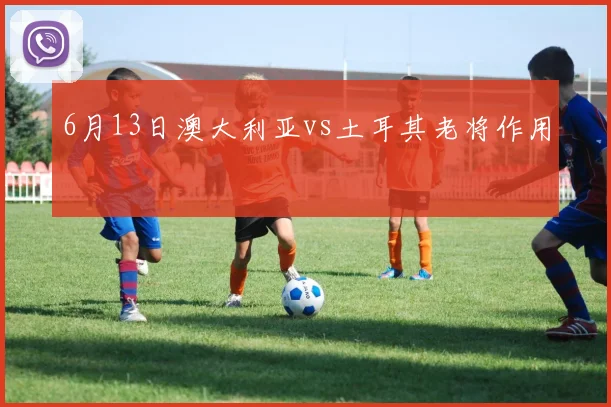 6月13日澳大利亚vs土耳其老将作用