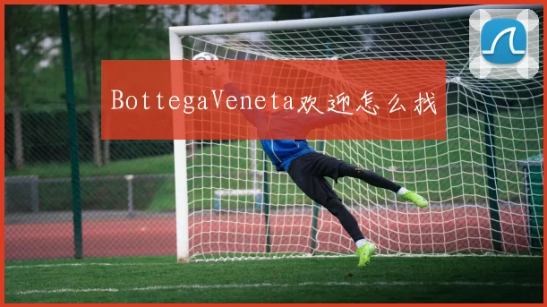 BottegaVeneta欢迎怎么找